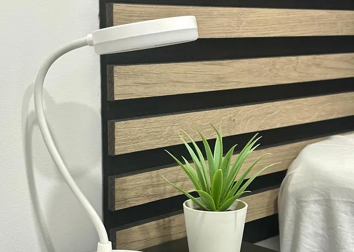 Oda ve Kahvaltı Casa Capitan Coliving Coworking Digital Nomads *